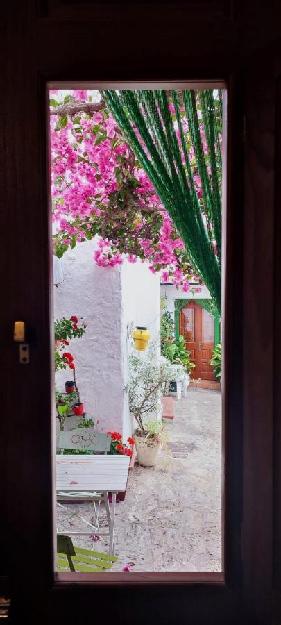 La Buganvilla De Juana Y Antonio Casares Exterior photo