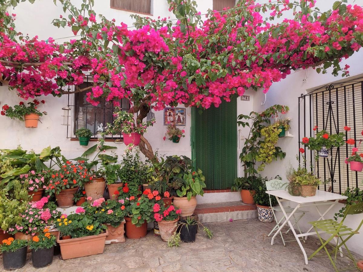 La Buganvilla De Juana Y Antonio Casares Exterior photo